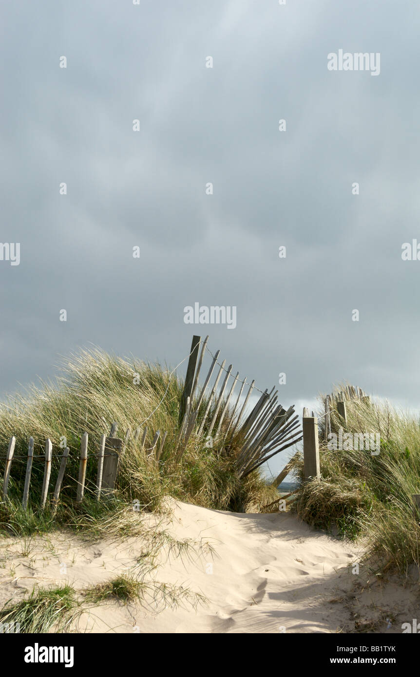Beadnell Strand, Northumberland Stockfoto