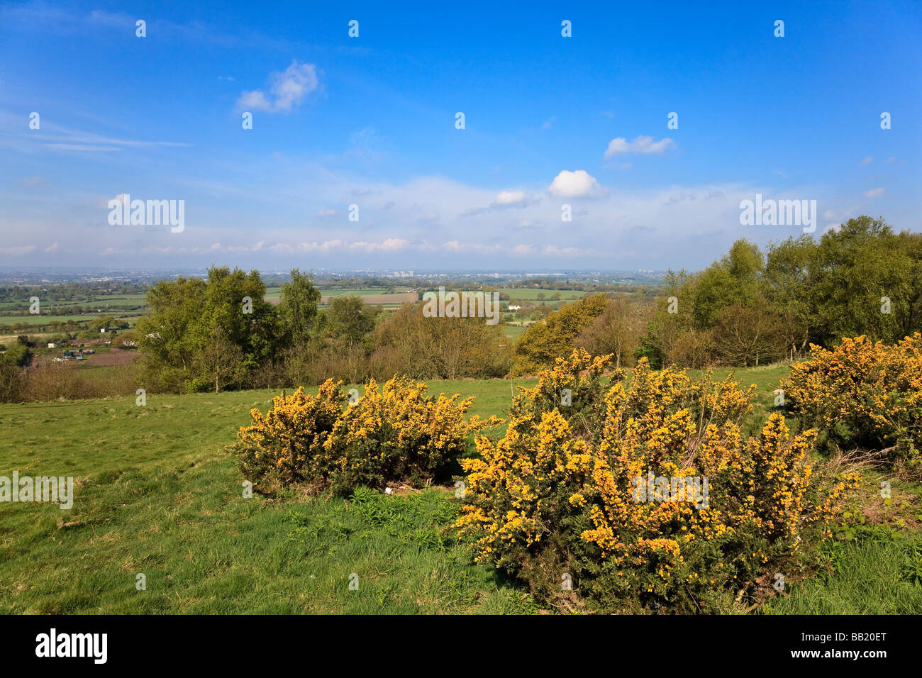 Barr Beacon Landschaftspark mit Blick in Richtung Walsall Wolverhampton und Cannock Birmingham UK Stockfoto