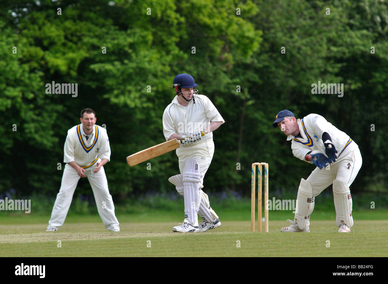 Dorf Cricket bei Lapworth, Warwickshire, England, UK Stockfoto