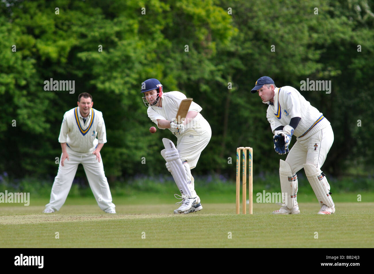 Dorf Cricket bei Lapworth, Warwickshire, England, UK Stockfoto