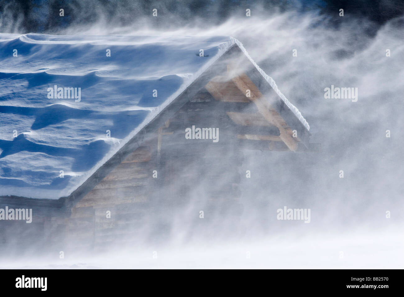 Wind weht Schnee von Berghütte oder Blockhaus, Alto Adige, Italienische Alpen Stockfoto