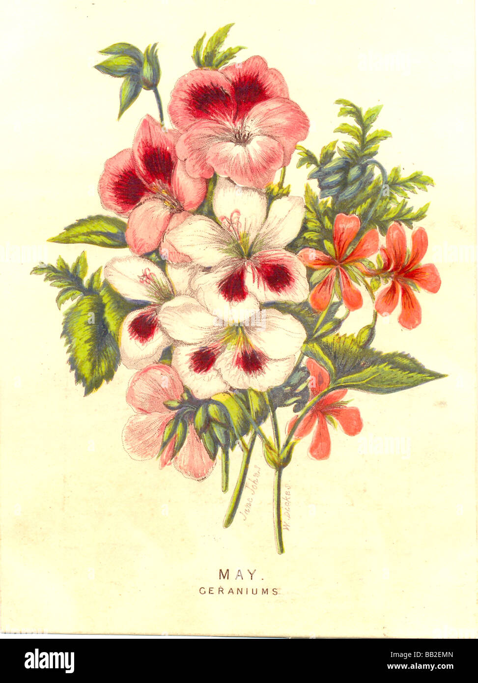 Bildung-Kundenkarte mit Mai-Blumen Stockfoto