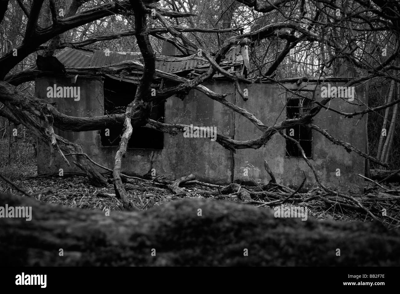 Sehr gruselige Gebäude im Wald Stockfoto