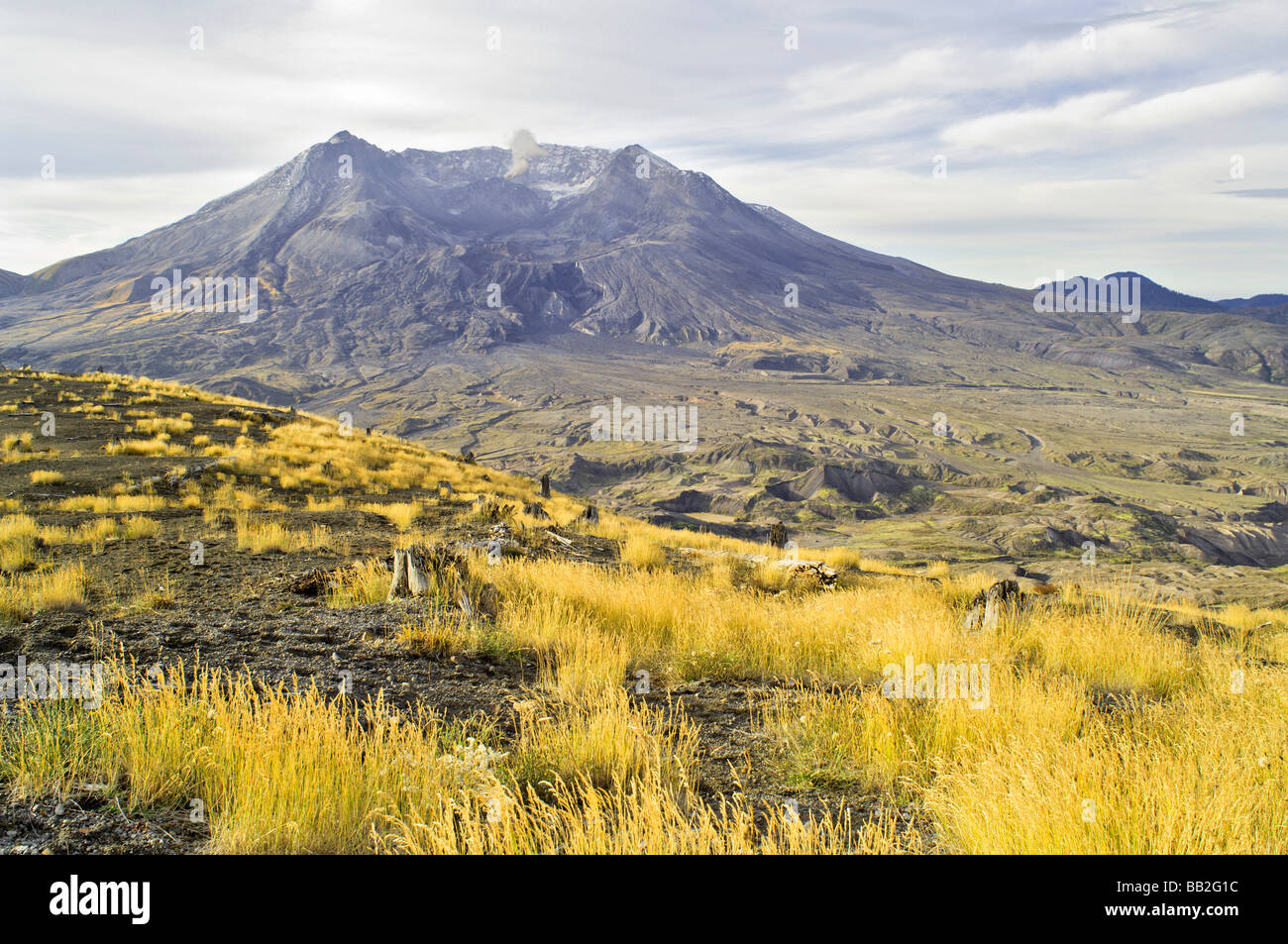 Mount Saint Helens, Washington, USA Stockfoto