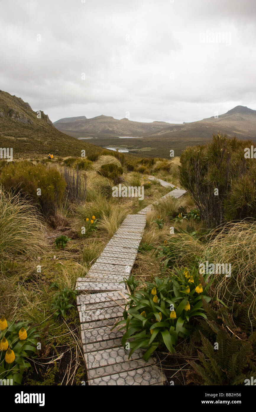 Herrlicher Panoramablick von Walking Pfad auf Sub-Antarctic erloschenen Vulkan Campbell Insel Neuseelands, bergiges Gelände und üppigen grünen Vegetation Stockfoto