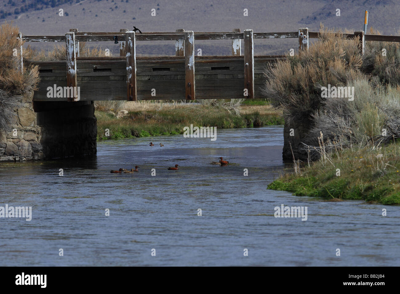 Owens River Long Valley Stockfoto