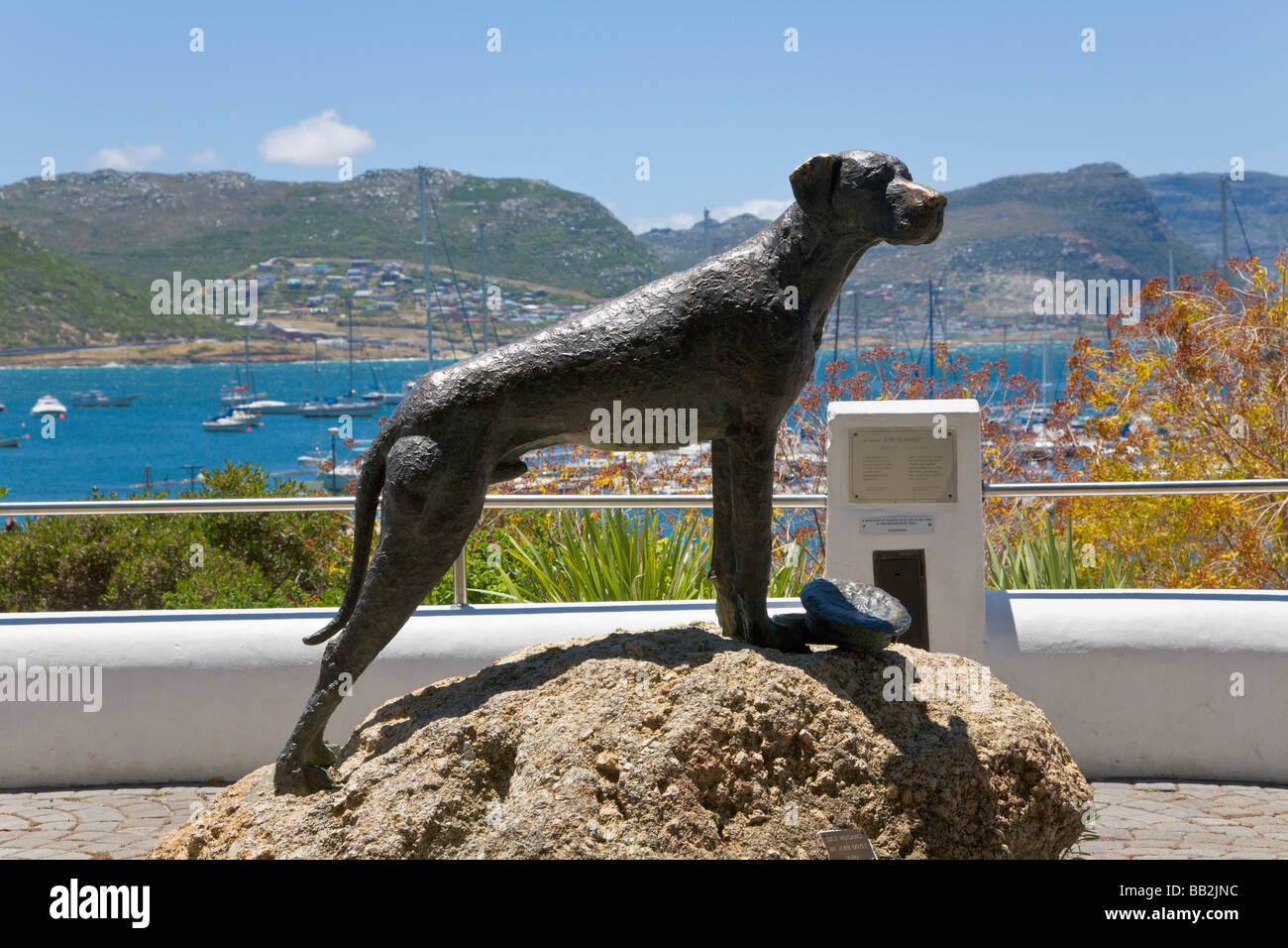 Statue des Hundes, Just Nuisance, "Simons Town", "Western Cape", "Südafrika" Stockfoto