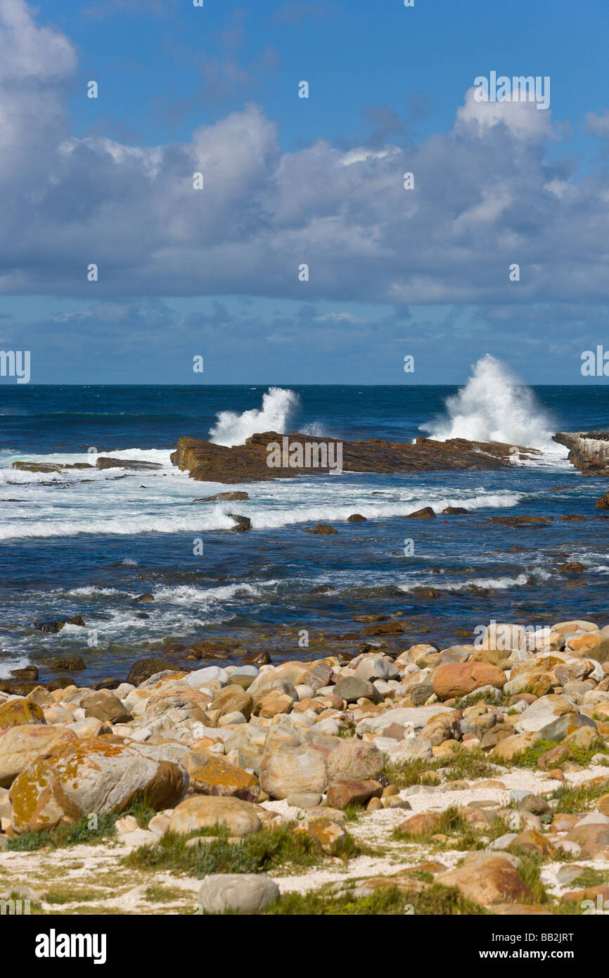 "Kap der guten Hoffnung", "Western Cape", "Südafrika" Stockfoto