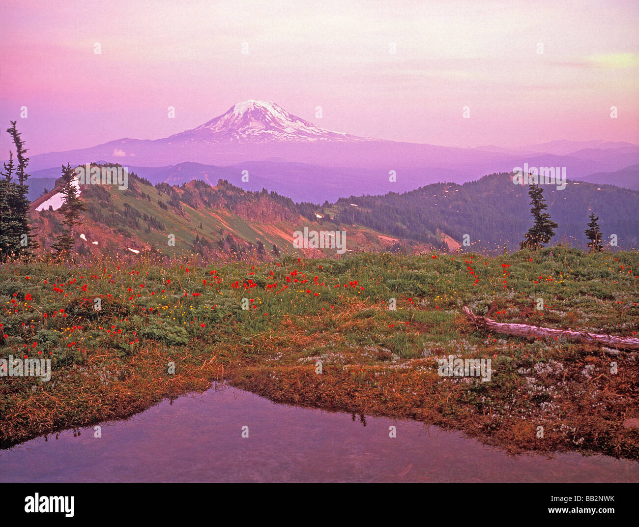 Mount Rainer National Park in Washington USA Stockfoto