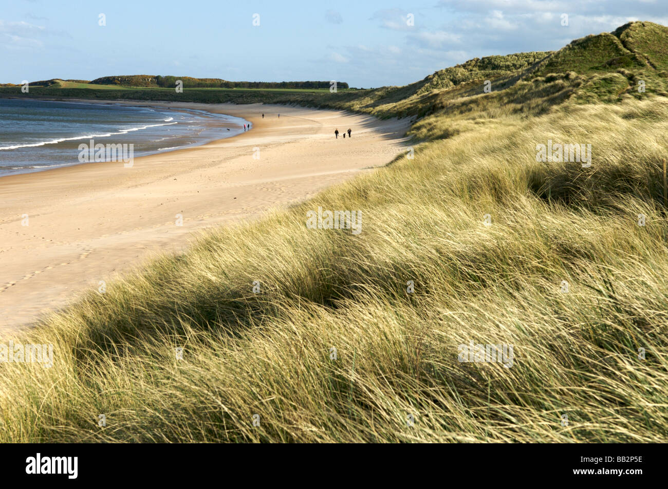 Embleton Strand, Northumberland Stockfoto