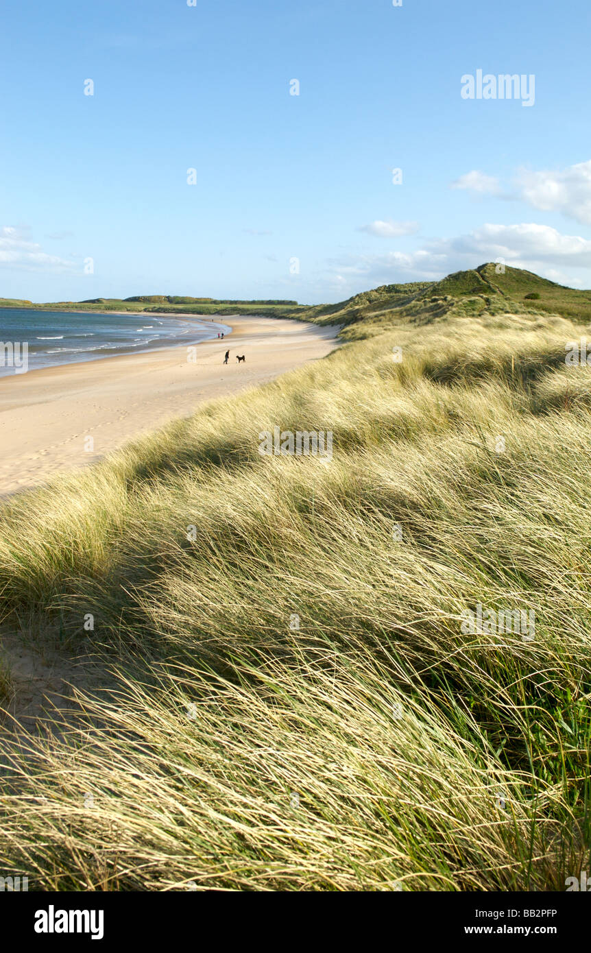 Embleton Strand, Northumberland Stockfoto