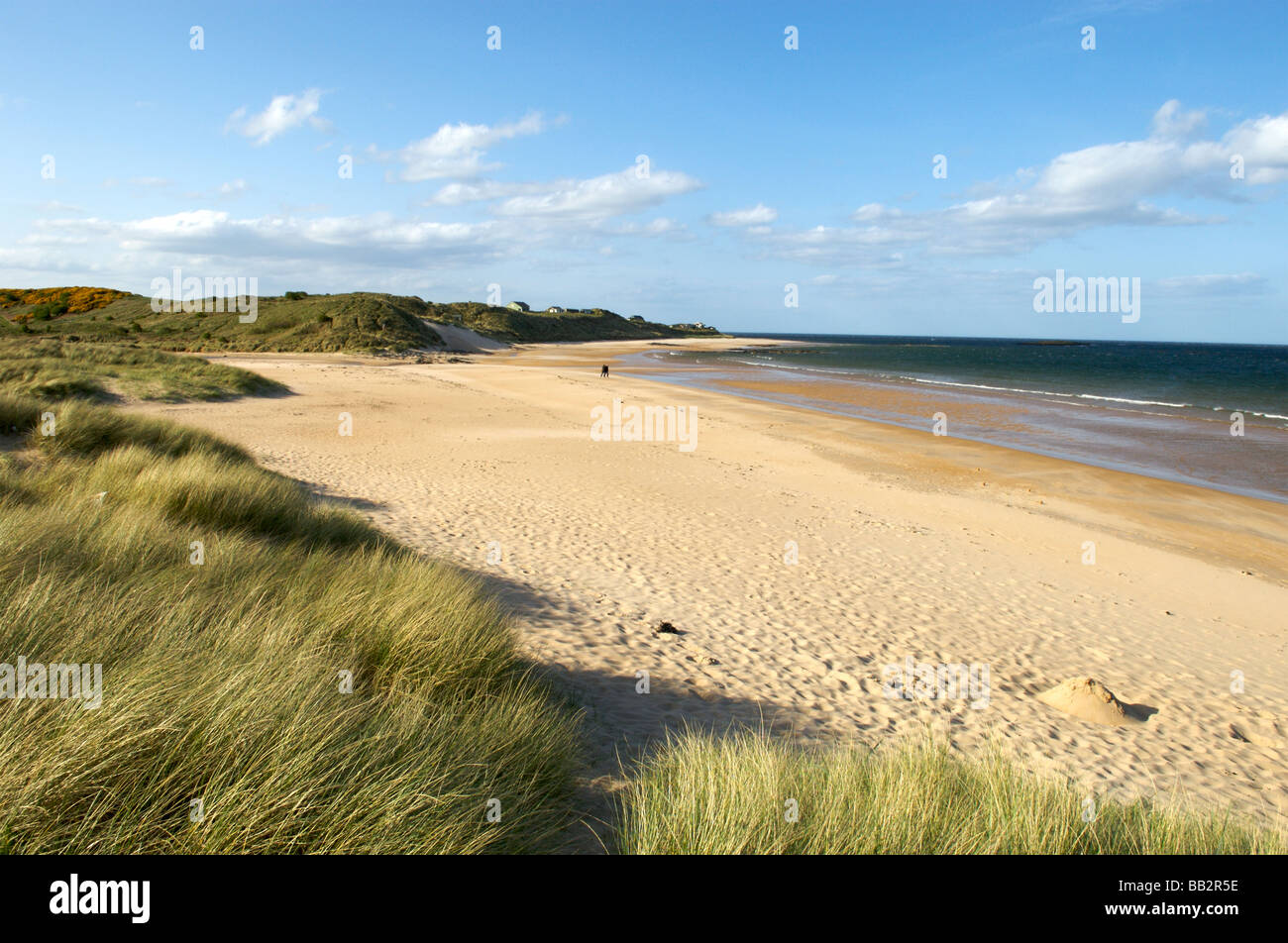 Embleton Strand, Northumberland Stockfoto