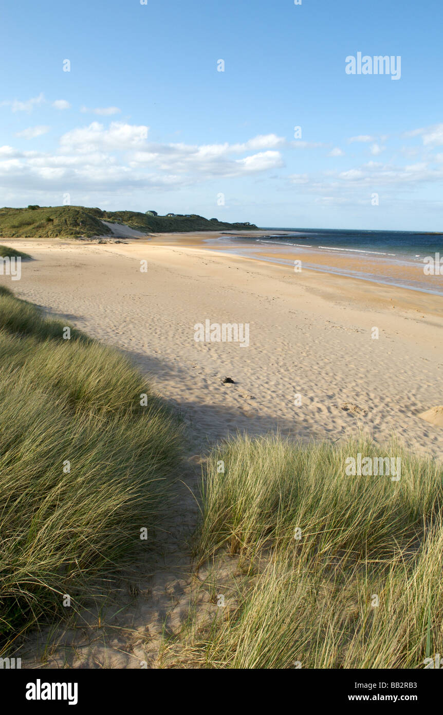 Embleton Strand, Northumberland Stockfoto