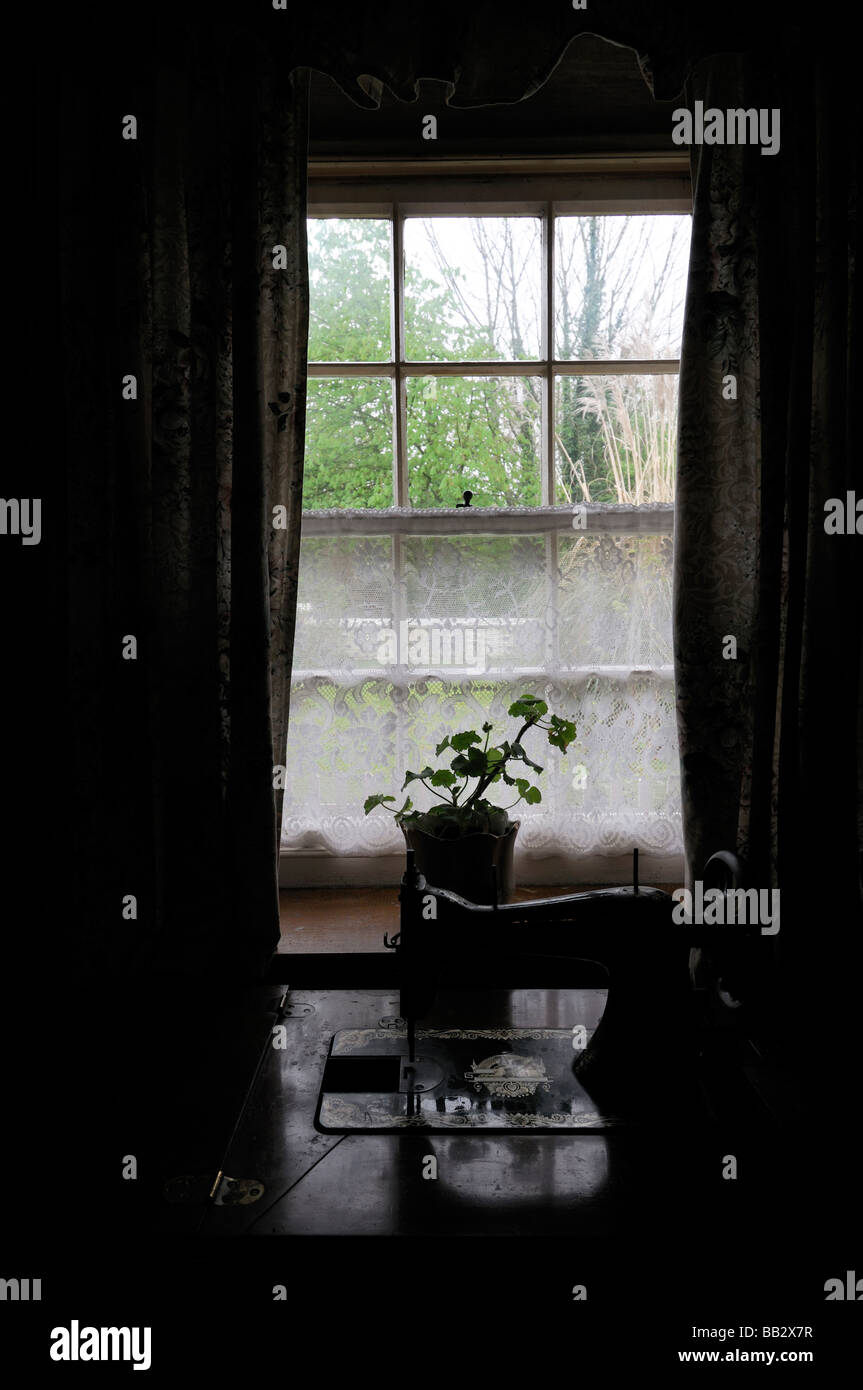 Blick nach draußen nach außen durch Gardine alten Bauernhaus Ferienhaus Fenster Irland Interieur mit Blick Stockfoto