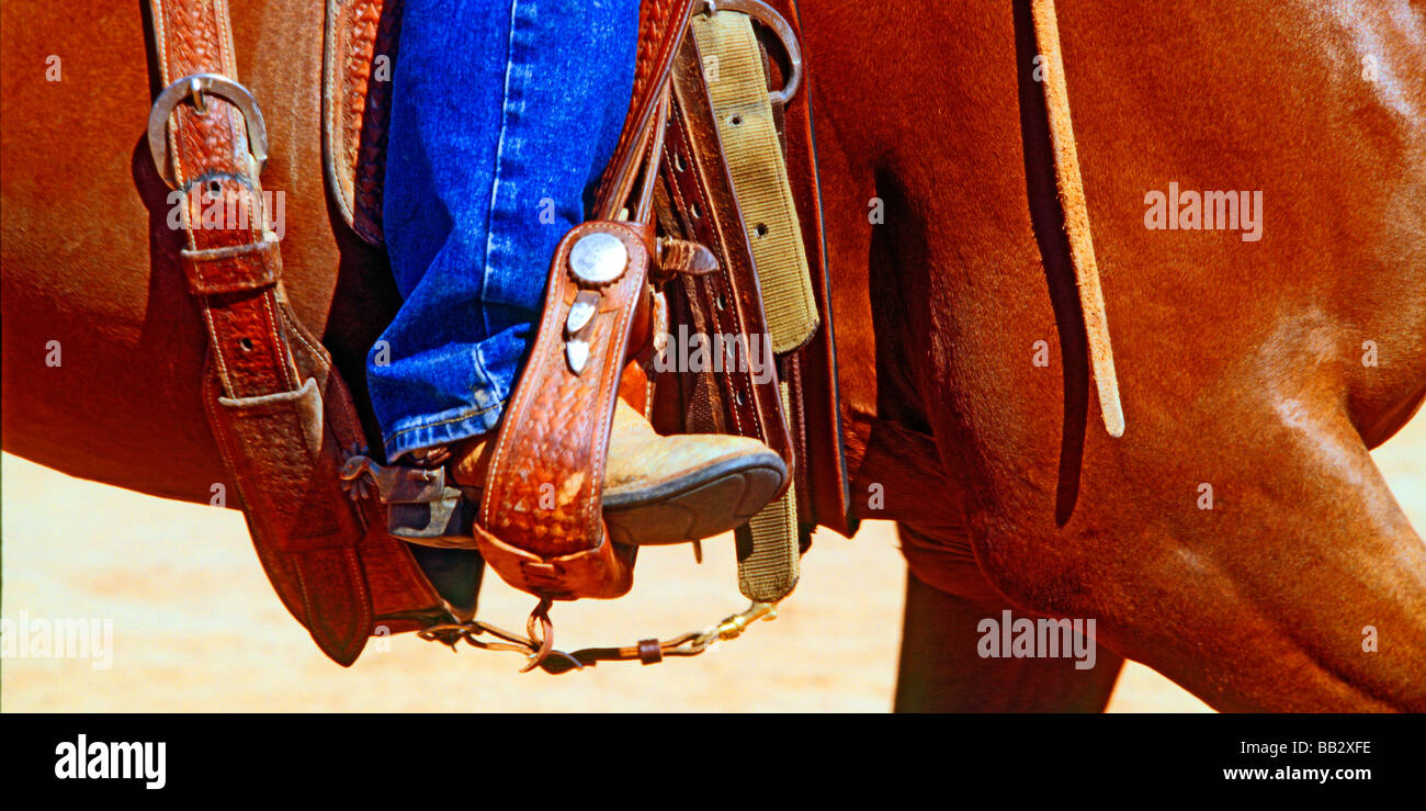 Aufnahmen von westlichen Erbe und Kleidung einschließlich Cowboyhüte, Stiefel, Chaps, Seile, Gurte, Steigbügel, Longhorn-Rinder und Pferde Stockfoto