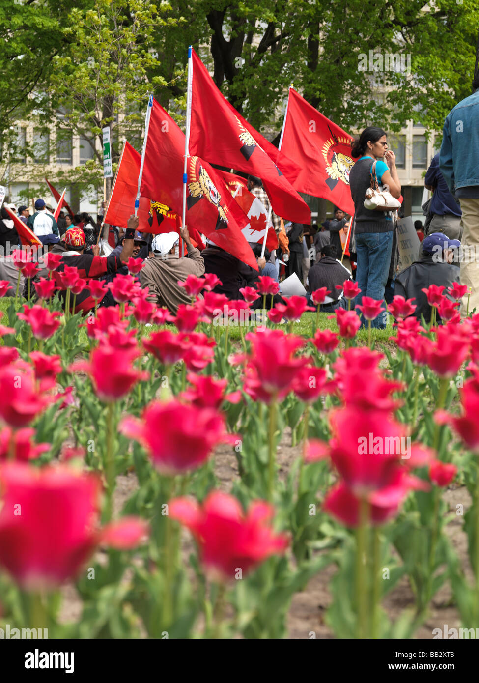 Toronto-Tamilen Protest gegen Krieg in Sri Lanka Stockfoto