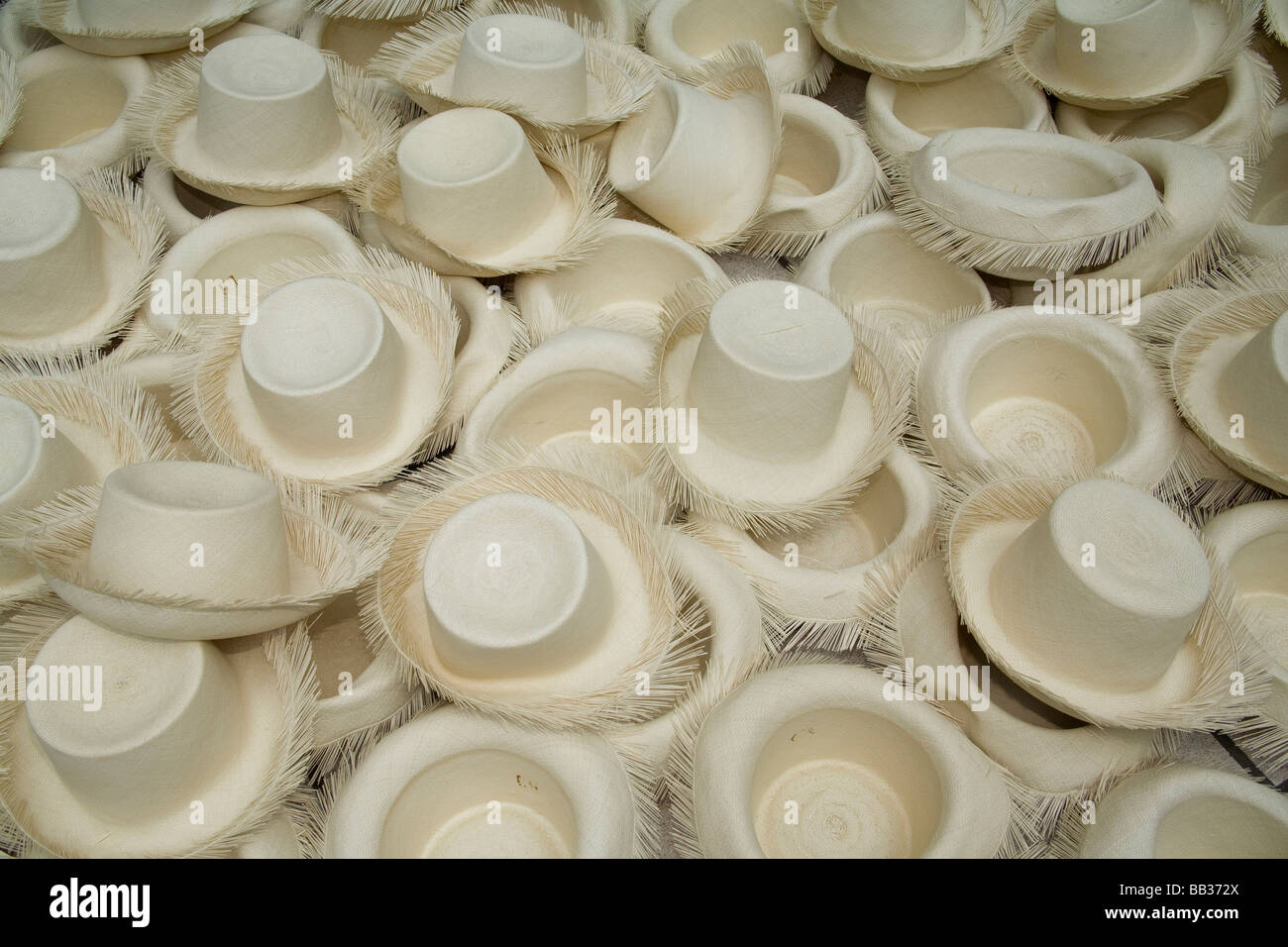 Haufen von traditionellen Panamahüte hergestellt von Stroh aus Toquilla-Pflanze, in der Produktion in der Fabrik, Cuenca, Ecuador, Südamerika Stockfoto