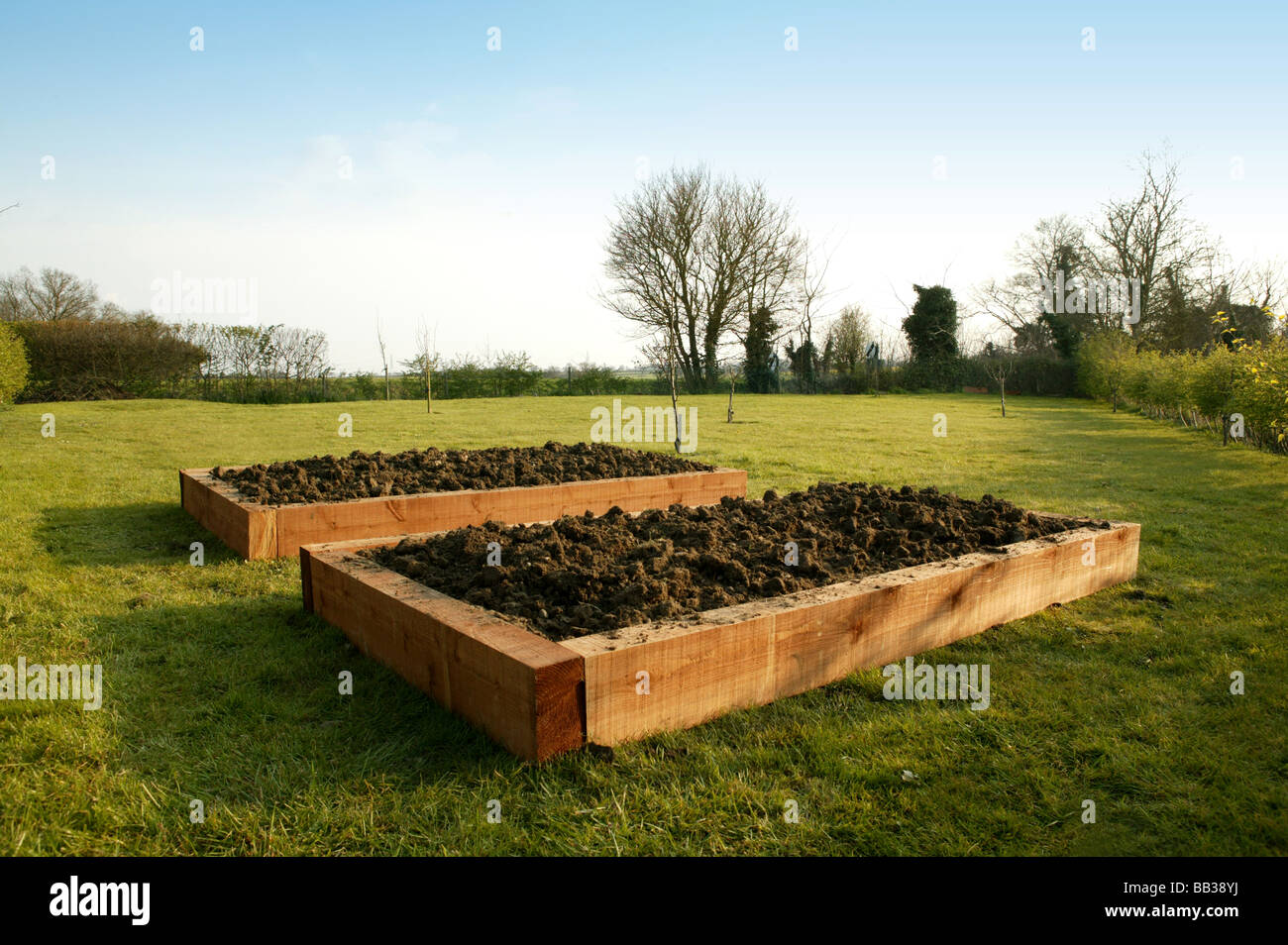 Frische neue Anpflanzungen Hochbeete für Gemüse Pflanzen in persönlichen Garten bereit Stockfoto