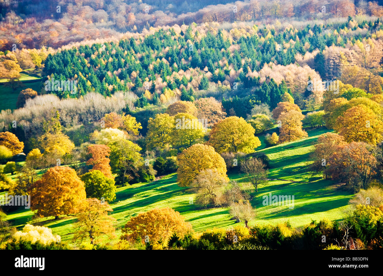 Herbstliche Ansicht über die Cotswold-Landschaft in Gloucestershire, England UK Stockfoto