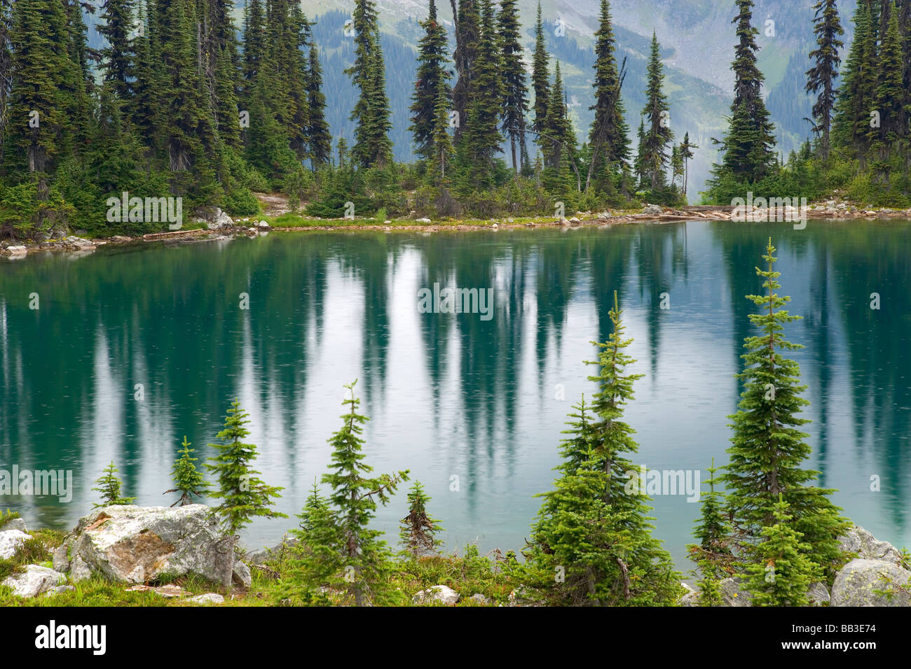 Kanada, British Columbia, Revelstoke National Park. Regen Punkte See Eva. Stockfoto