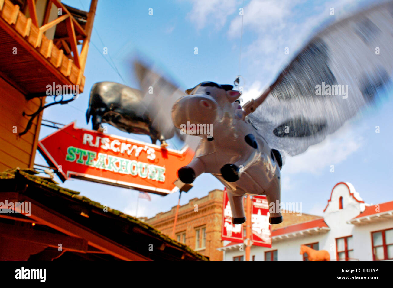 Spielzeug fliegende Kuh ein Novum Element klappen seine Flügel in den Wind  an die Stockyards touristische Attraktion von Fort Worth Texas USA  Stockfotografie - Alamy