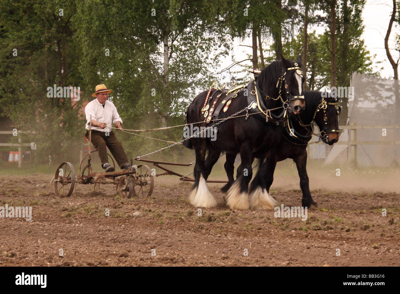 Schwere Pferde, die Bearbeitung des Bodens in Nottinghamshire County show 2009 Stockfoto