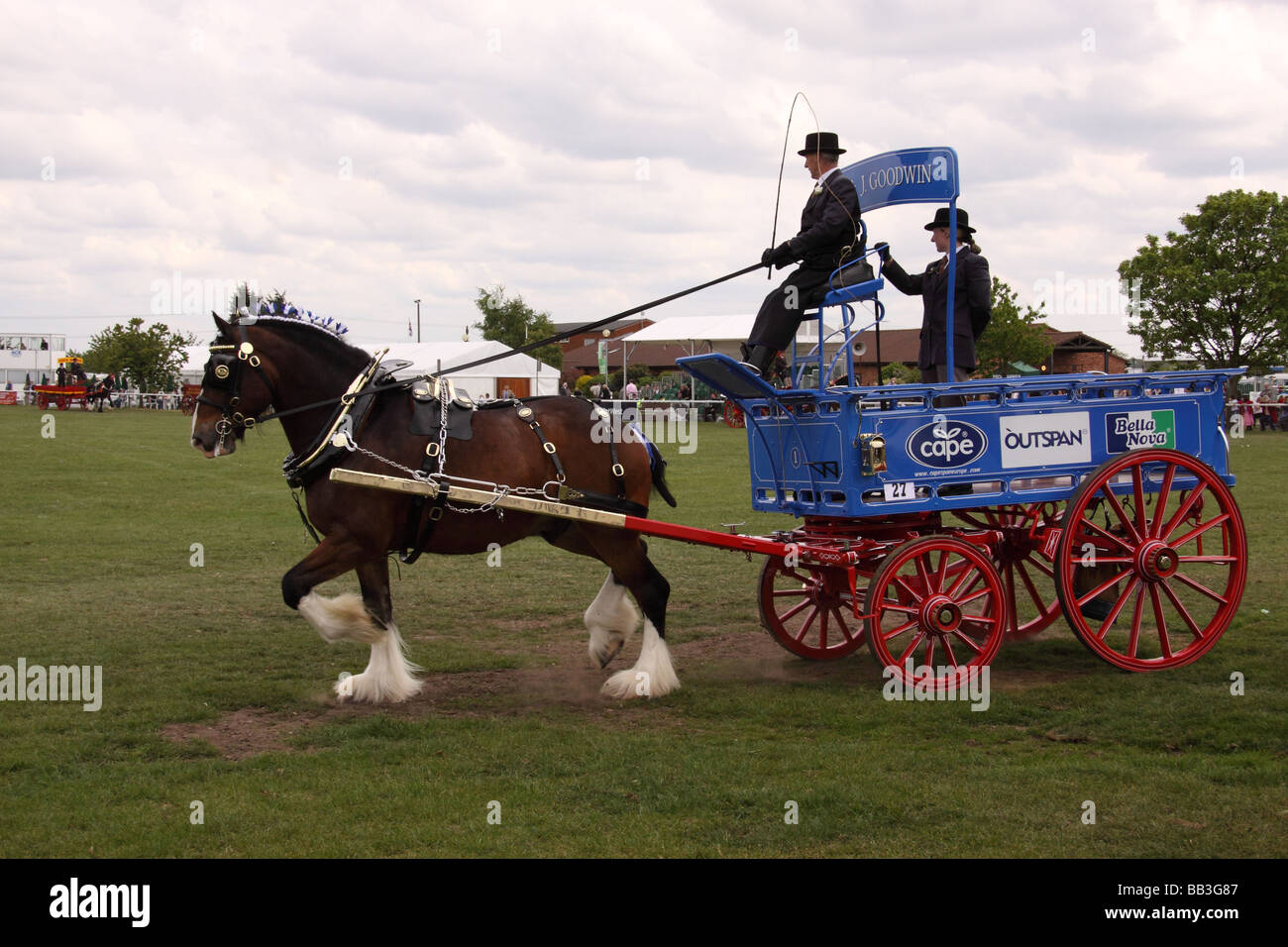 Schweren Pferd ziehen Schlitten Nottinghamshire county Show Pferd Tier Säugetier arbeiten vorbei viktorianischen Zeiten historischen Kleid Stockfoto