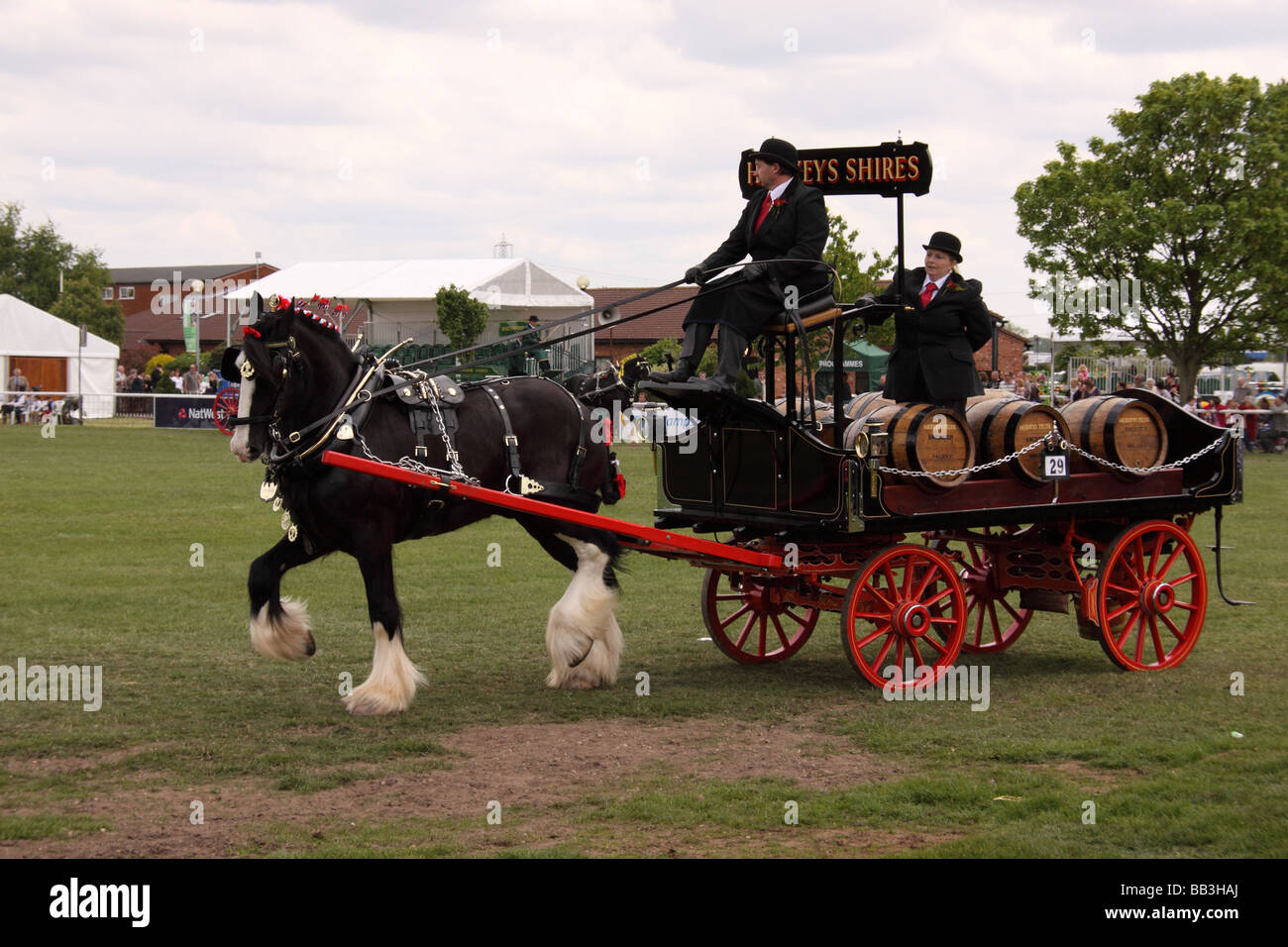 Schweren Pferd ziehen Schlitten Nottinghamshire county Show Pferd Tier Säugetier arbeiten vorbei viktorianischen Zeiten historischen Kleid Stockfoto