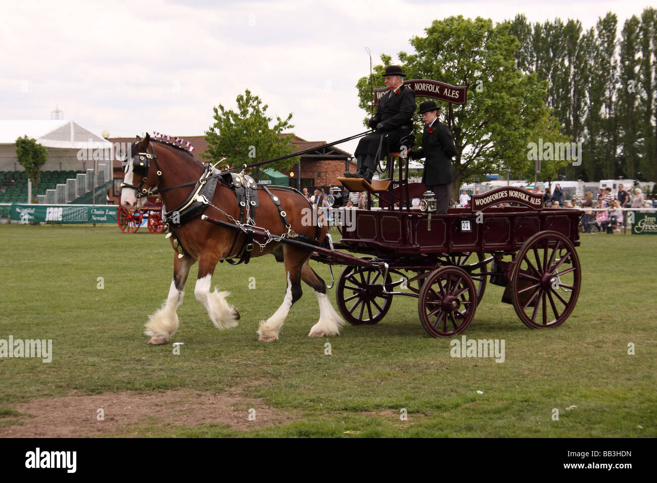 Schweren Pferd ziehen Schlitten Nottinghamshire county Show Pferd Tier Säugetier arbeiten vorbei viktorianischen Zeiten historischen Kleid Stockfoto