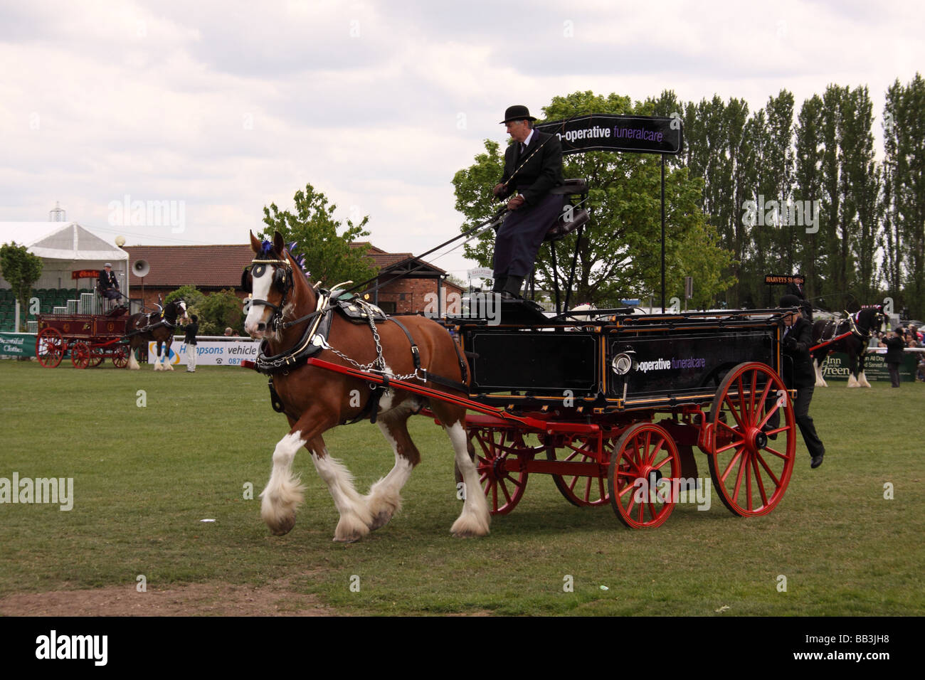 Schweren Pferd ziehen Schlitten Nottinghamshire county Show Pferd Tier Säugetier arbeiten vorbei viktorianischen Zeiten historischen Kleid Stockfoto