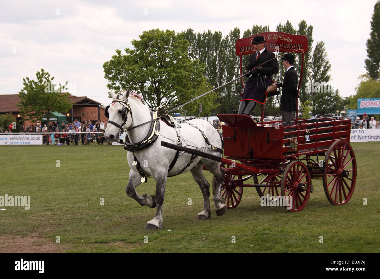 Schweren Pferd ziehen Schlitten in Nottinghamshire county show Stockfoto