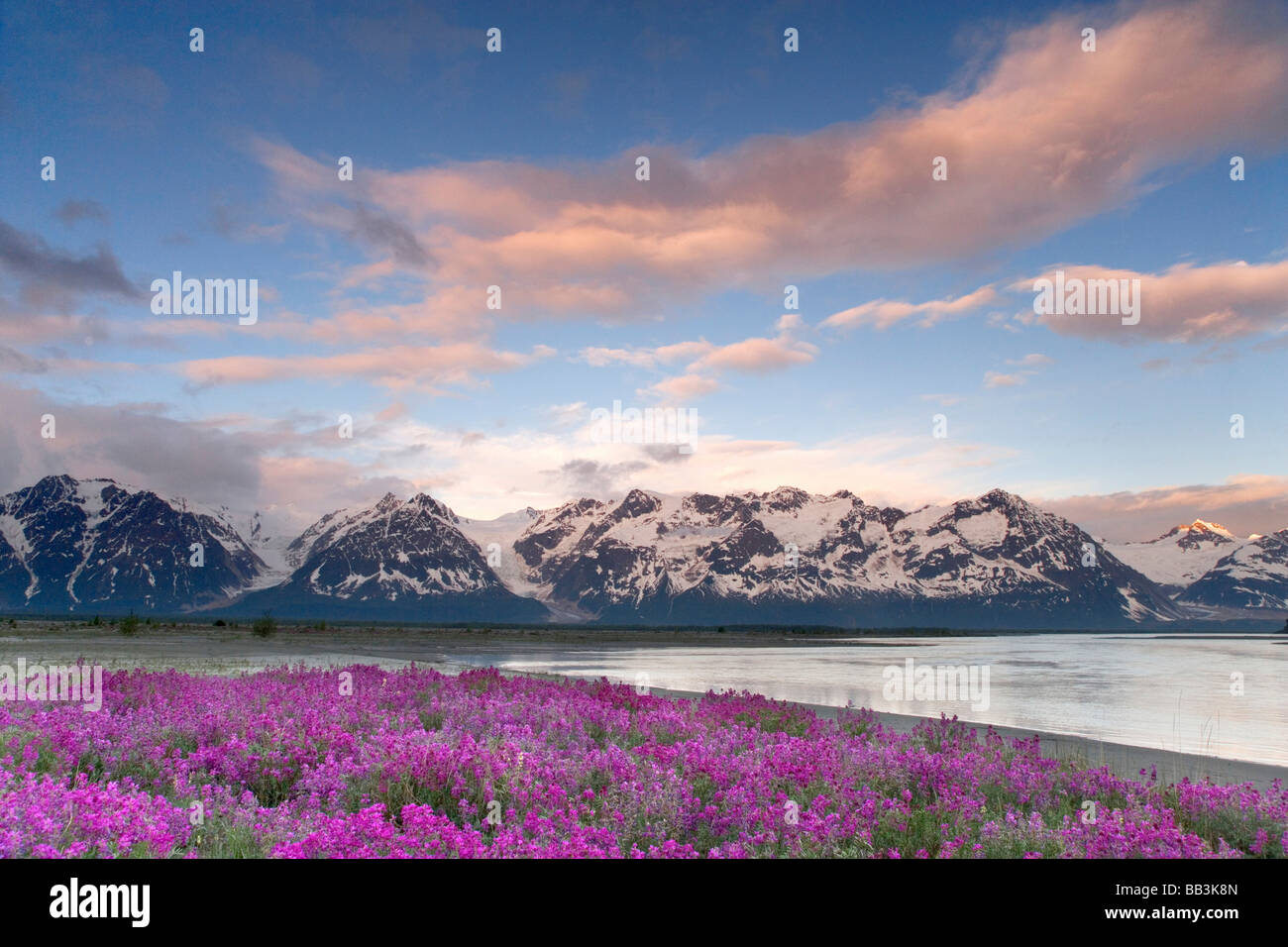 USA, Alaska, Tatshenshini-Alsek Wildnis. Blick auf Berge, Wildblumen und Alsek River. Stockfoto