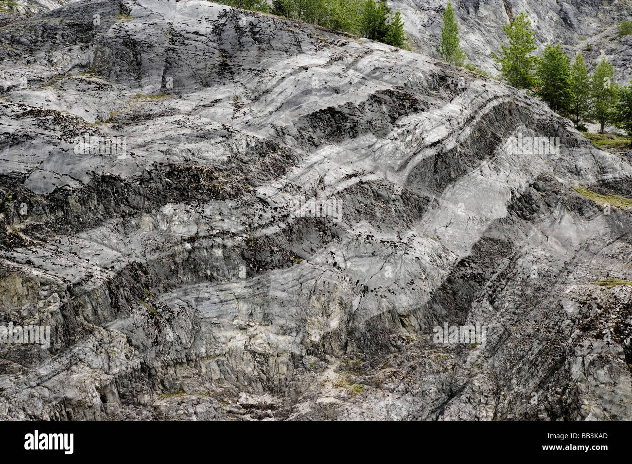 USA, Alaska, Glacier Bay Nationalpark. Kalksteinfelsen mit Bands der Gletscher Streifung. Stockfoto