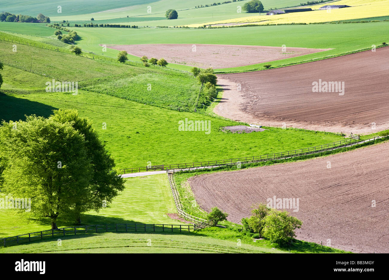 Blick auf Ackerland und Hügellandschaft in Wiltshire England UK Stockfoto