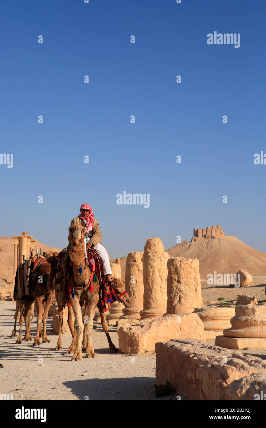 Mann auf Kamel, Grand Säulenstraße, Palmyra, Syrien Stockfoto