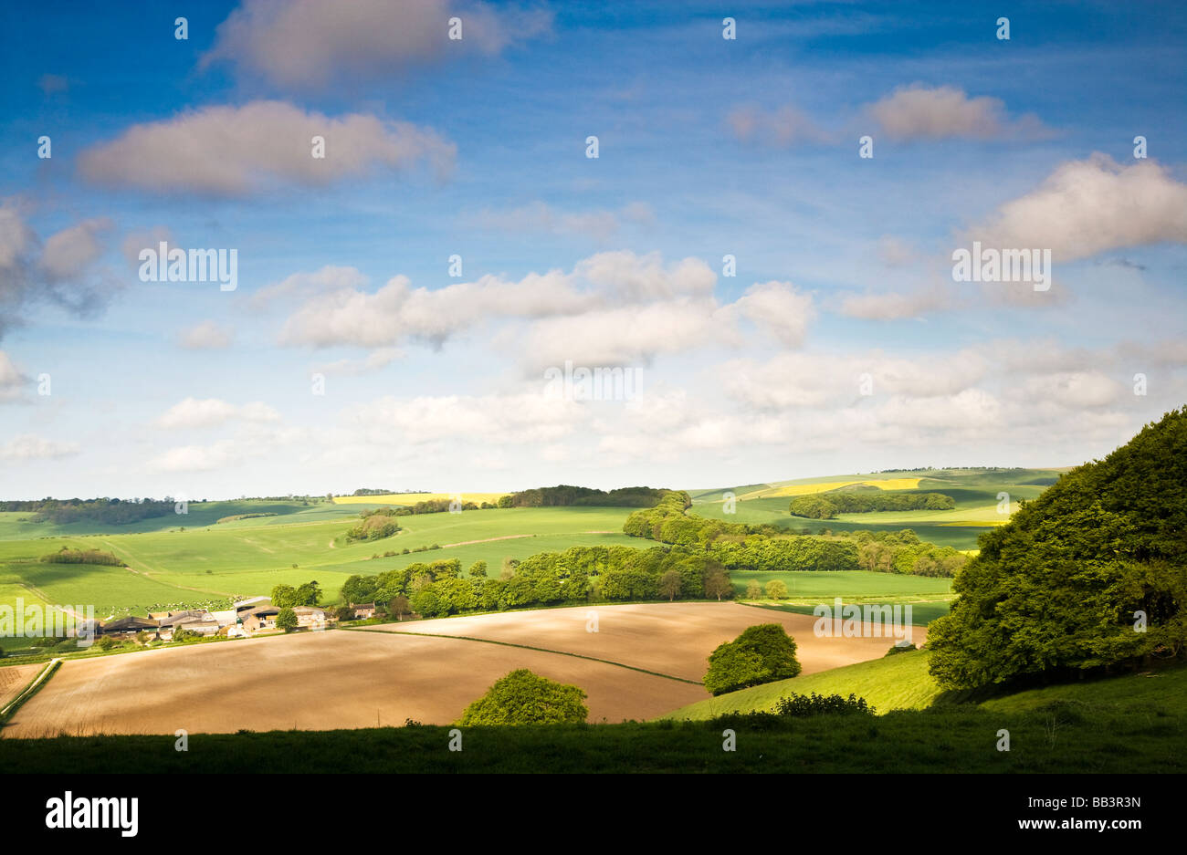 Blick auf Ackerland und Hügellandschaft in Wiltshire England UK Stockfoto