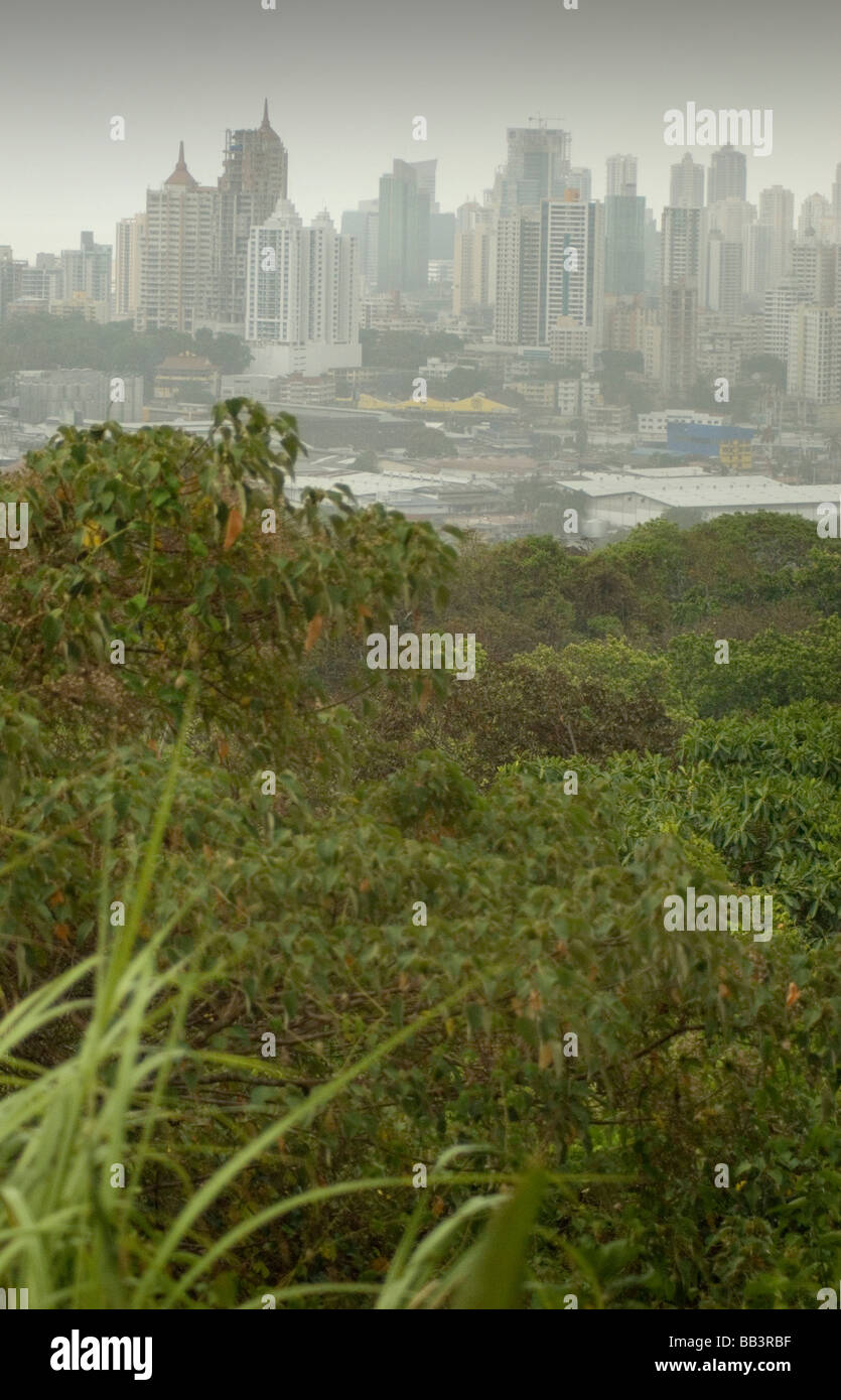 Panama-Stadt Wolkenkratzer aus über den Dschungel Baumkronen des Metropolitan-Naturpark Stockfoto