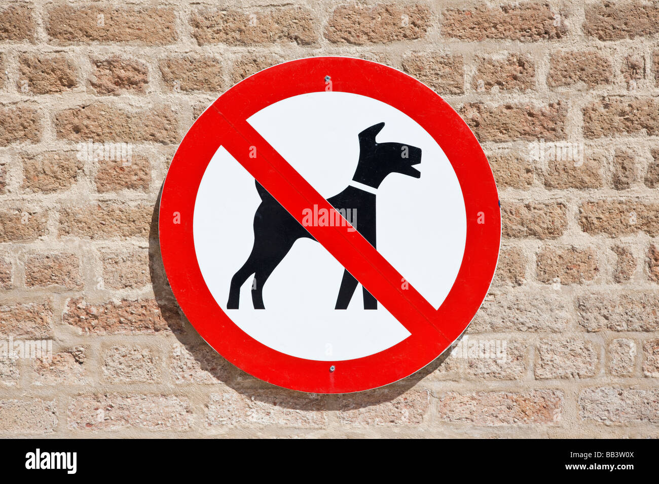 Keine Hunde symbol Zeichen UK Stockfoto