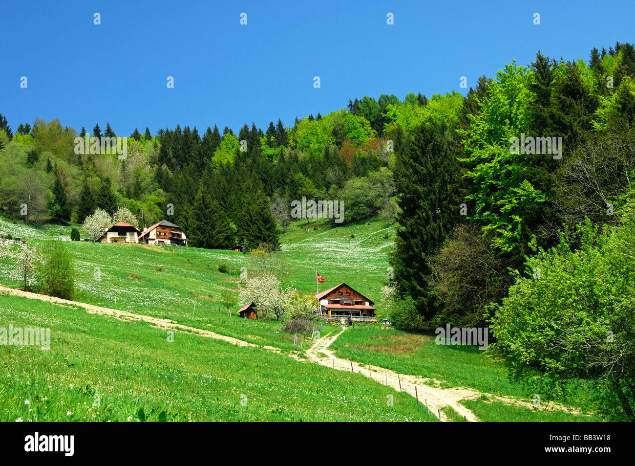 Frühling auf eine Lichtung mit drei Chalets oberhalb Les Avants, Montreux, Waadt, Schweiz Stockfoto