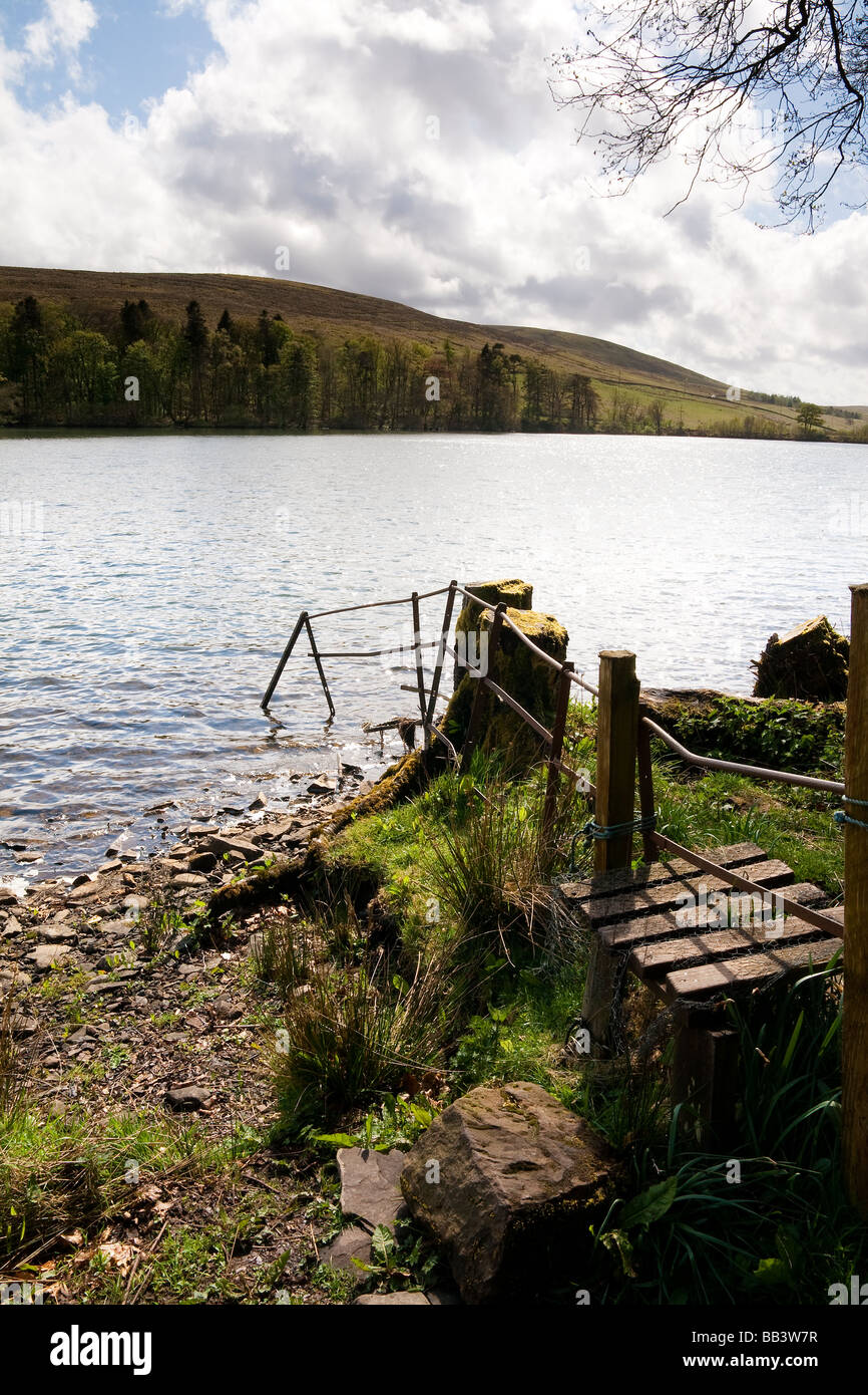 Zaun in Glenbuck Loch, Ayrshire, Schottland Stockfoto