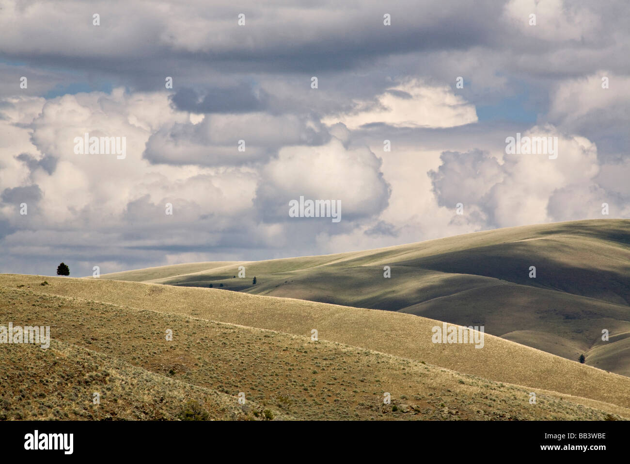 USA, Montana, Rocky Mountain Front. Sturm Wolken bilden über die Hügel. Stockfoto