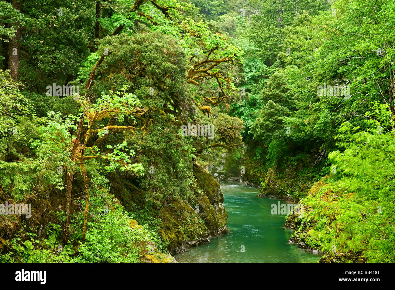 USA, Oregon, Elk River- Stockfoto