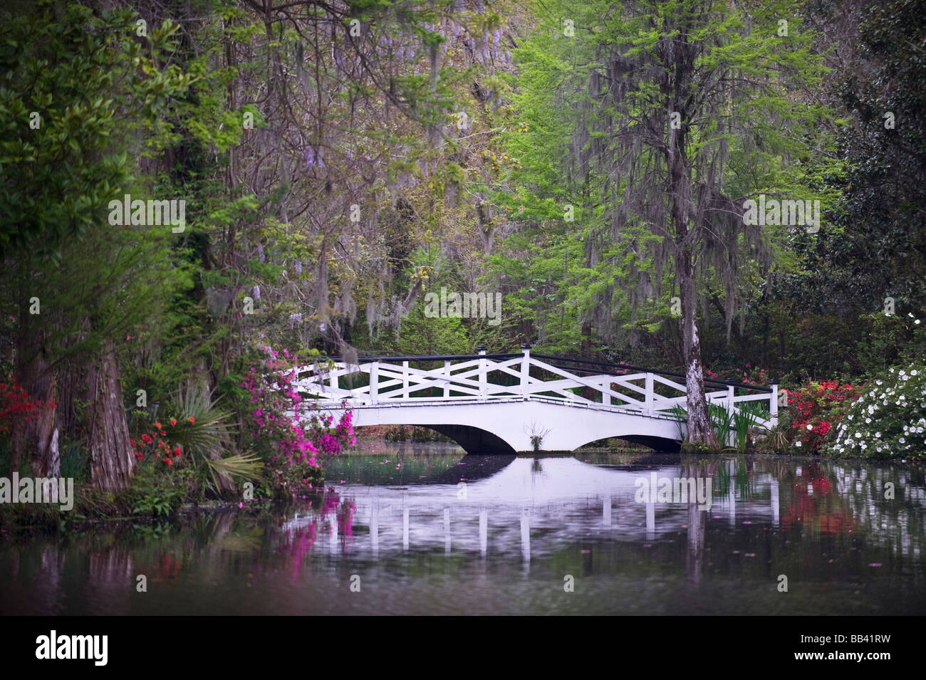 USA, South Carolina, Magnolia Gardens. Holzsteg spiegelt sich im Teich. Stockfoto