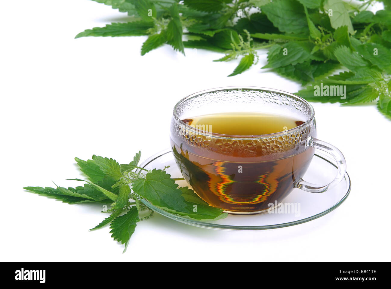 T-Stück hiesiges Tee Brennessel 01 Stockfoto