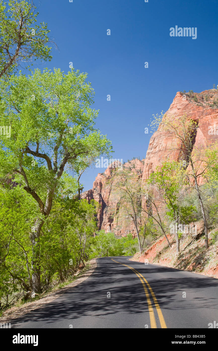 Utah, Zion National Park, Zion Canyon road Stockfoto