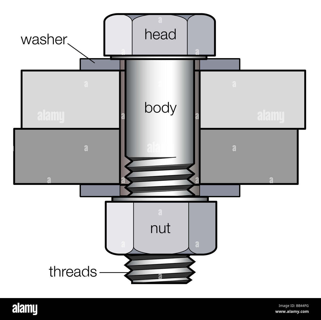 Die Teile einer Schraube, einer mechanischen Befestigung in der Regel mit einer Nut für den Anschluss von zwei oder mehr Teile verwendet. Stockfoto