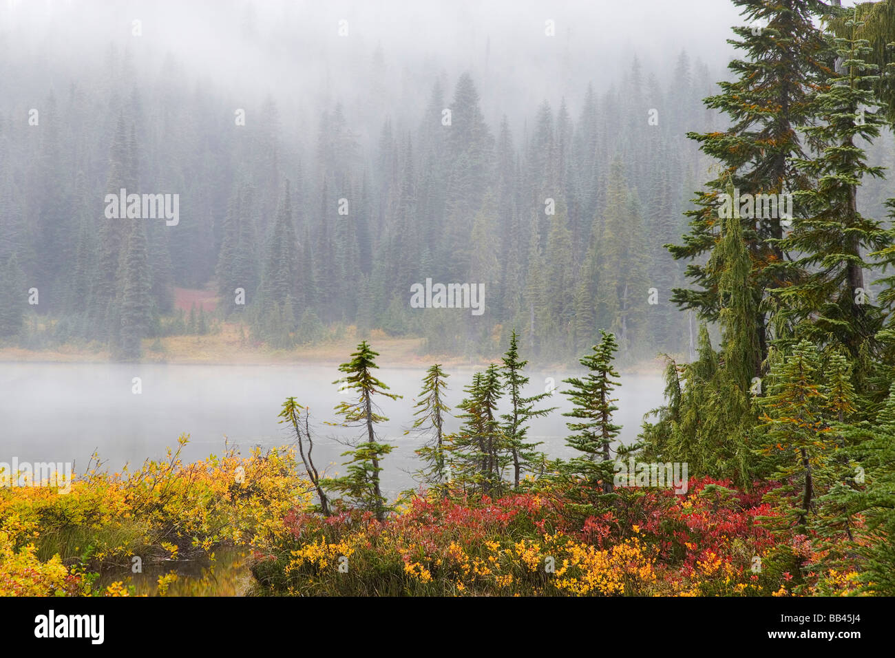 USA, Washington, Mount Rainier Nationalpark, Reflection Lakes. Blick auf Bäume und See im Nebel. Stockfoto