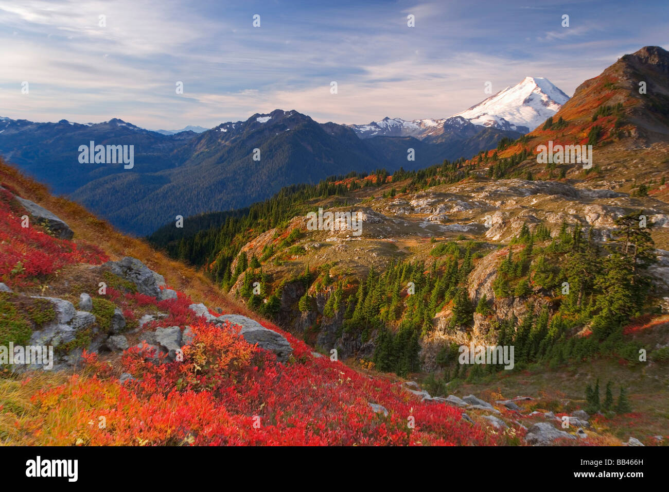 USA, Washington, Mount Baker Wildnis. Blick auf Mount Shuksan aus gelben Aster Butte Weg. Stockfoto