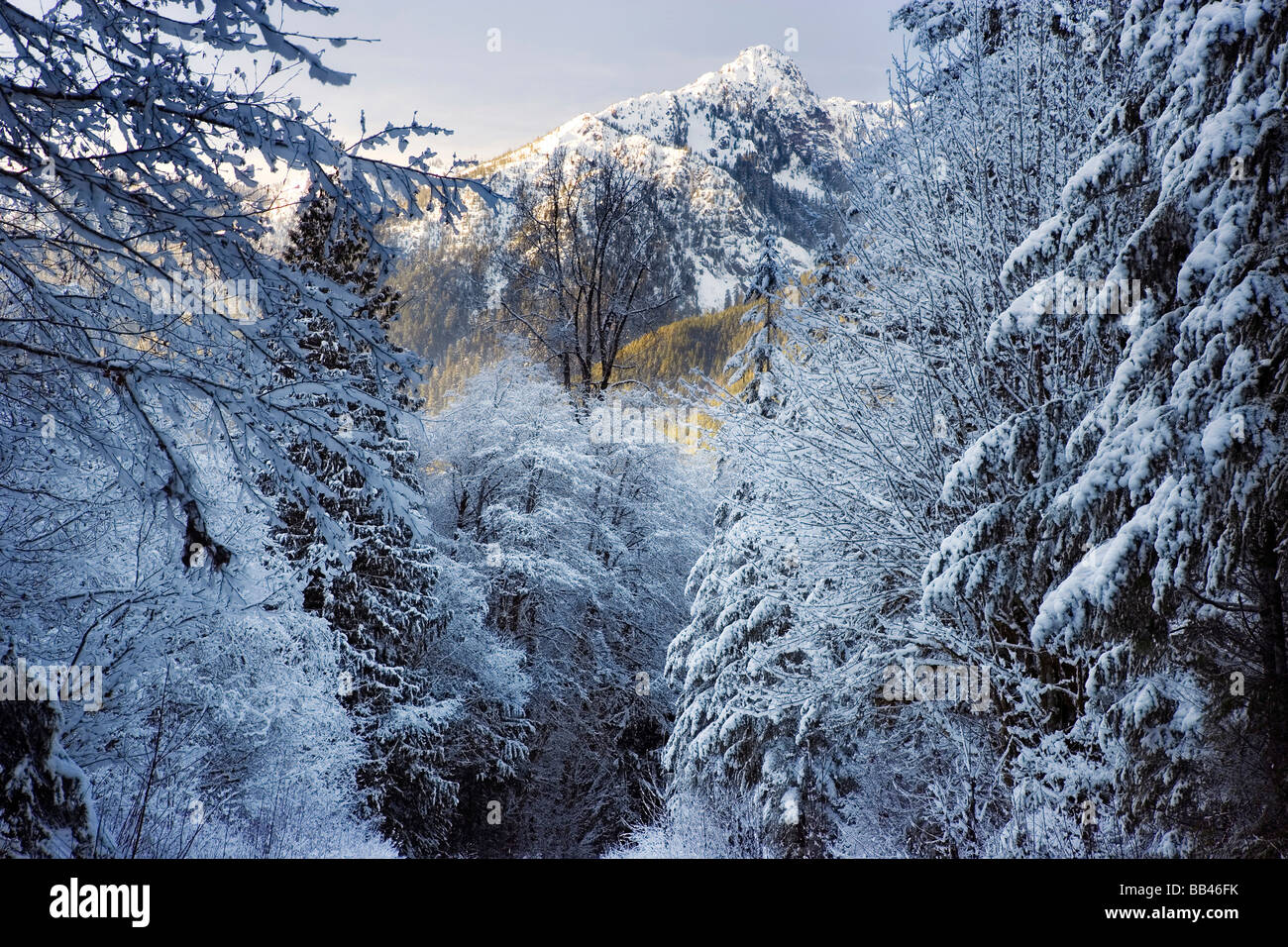 USA, Washington, Olympic Nationalpark. Winter landschaftlich Hamma Hamma River Valley. Stockfoto