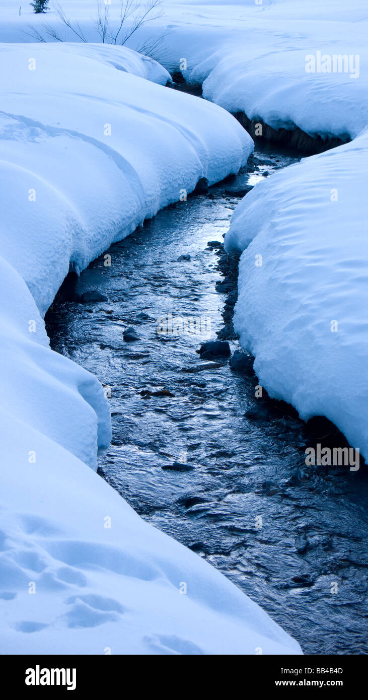Ein Stream läuft durch eine tief verschneite Landschaft nahe dem Aufstellungsort von einem Wolf töten im Winter in Idaho. Stockfoto